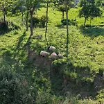 El Rio * Illas