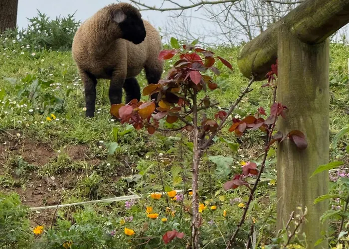 Apartment El Rio Illas